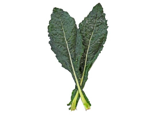 Cavolo Nero